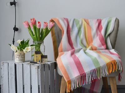 Large rainbow stripe merino wool blanket draped over a lounge chair