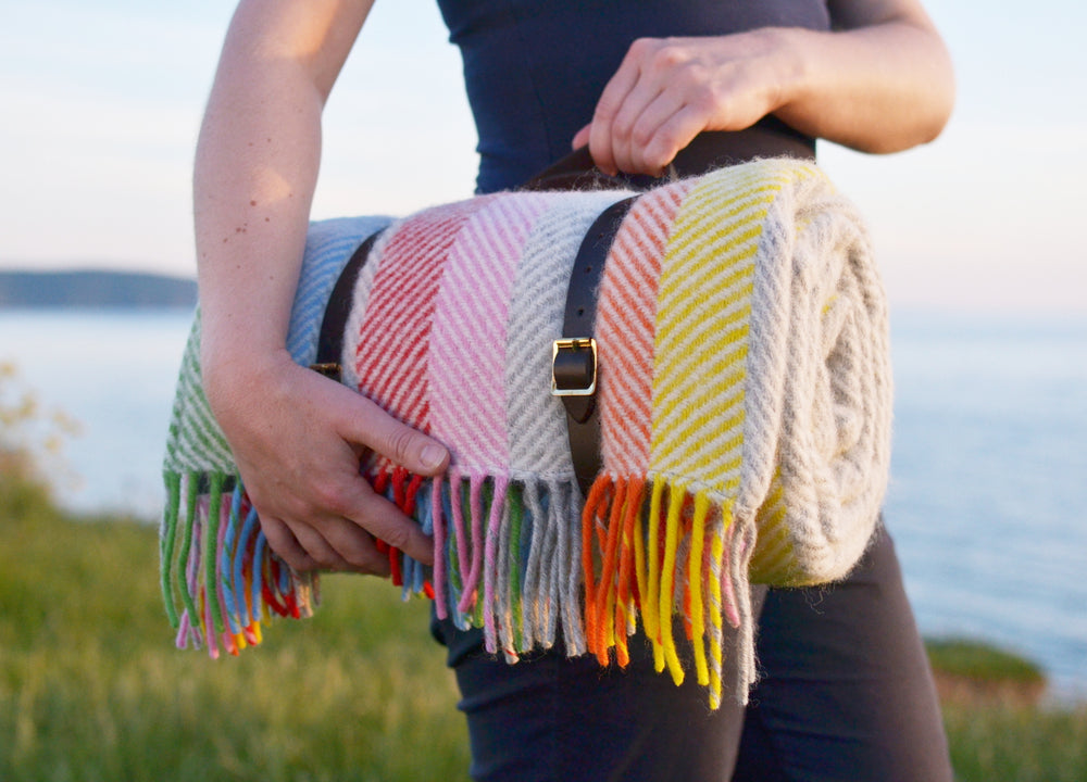 A person clutching the handle for leather straps carrying a rainbow stripe wool picnic blanket